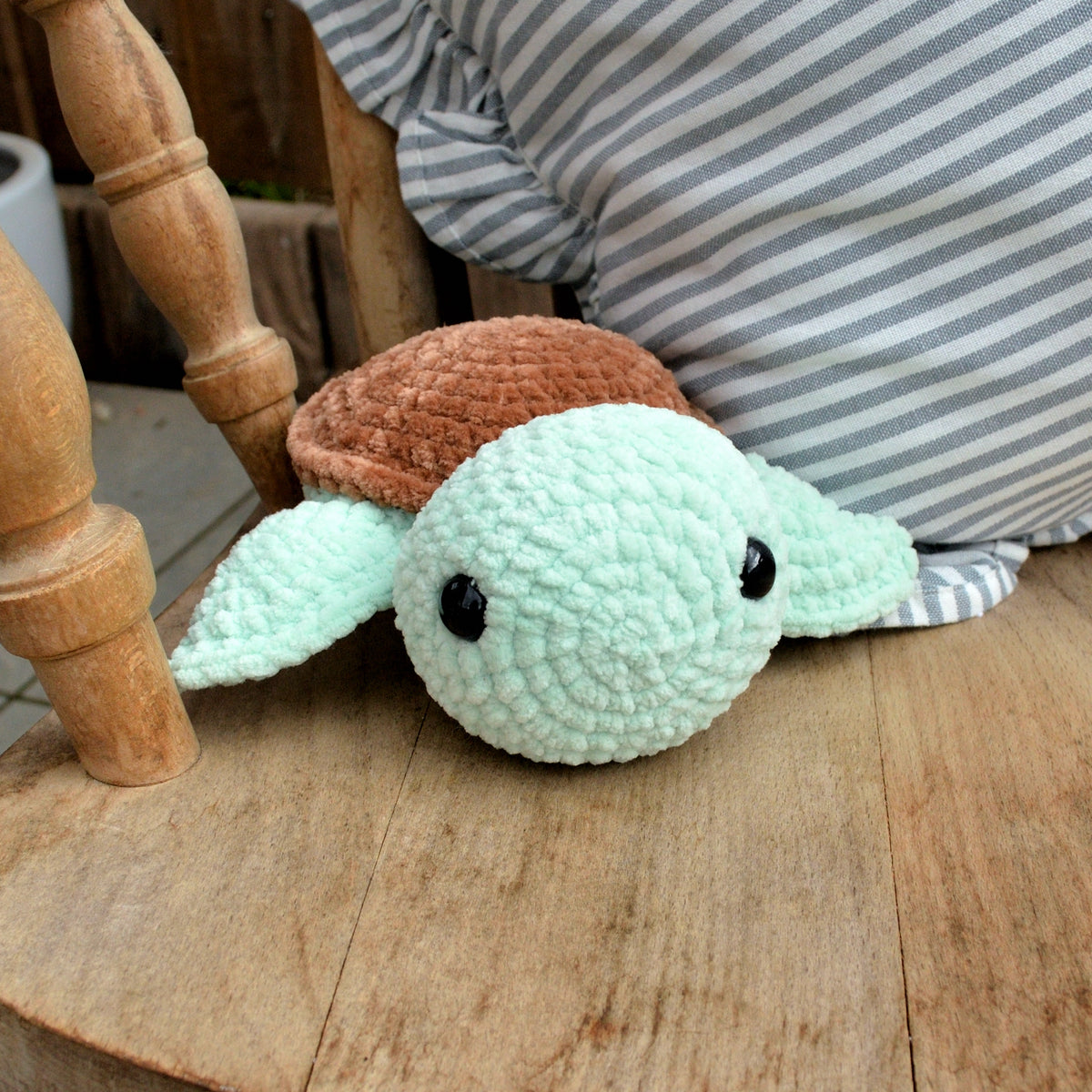 sea turtle