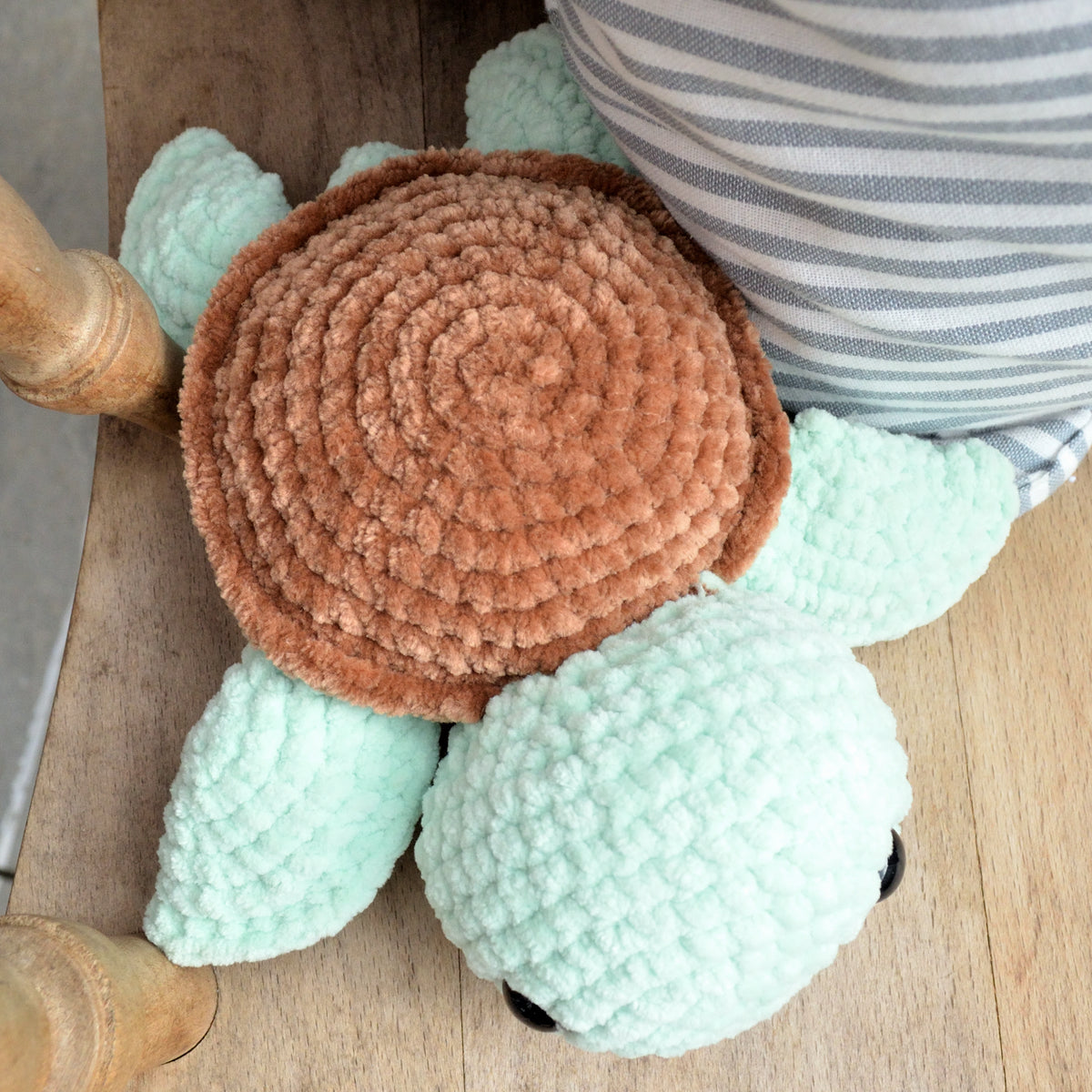 sea turtle